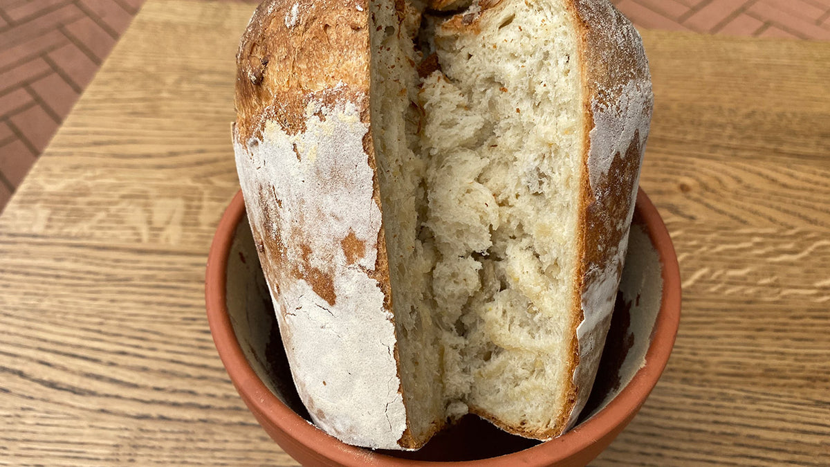 Brot aus dem Blumentopf