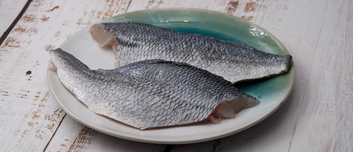 Fisch richtig filetieren