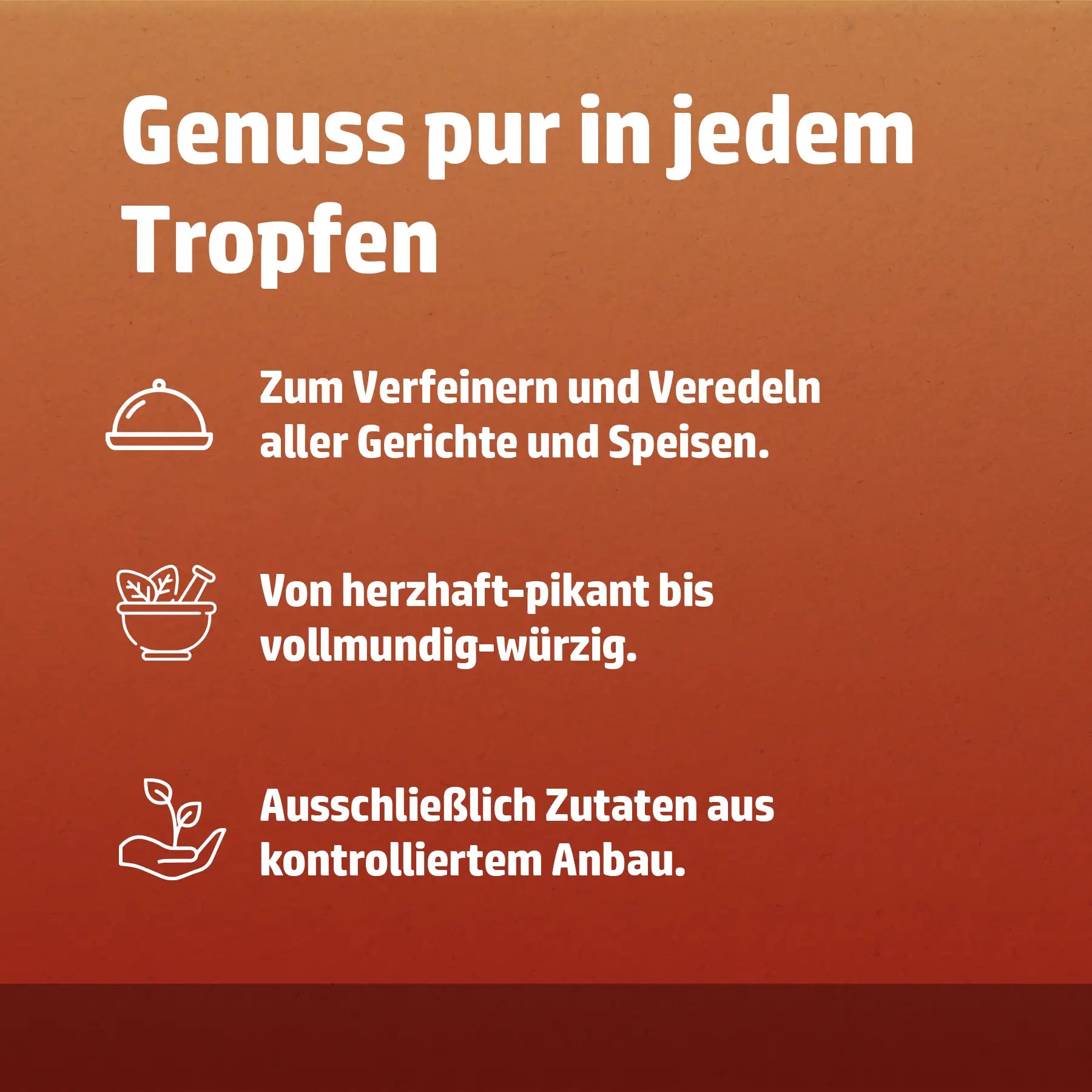 HENSSLERS 6er Würzöl Set Bundles Hensslers