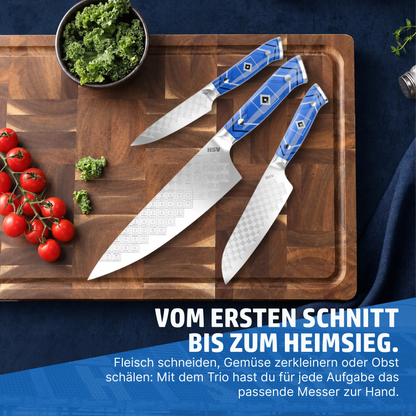 HENSSLERS 3er Messerset HSV-Edition