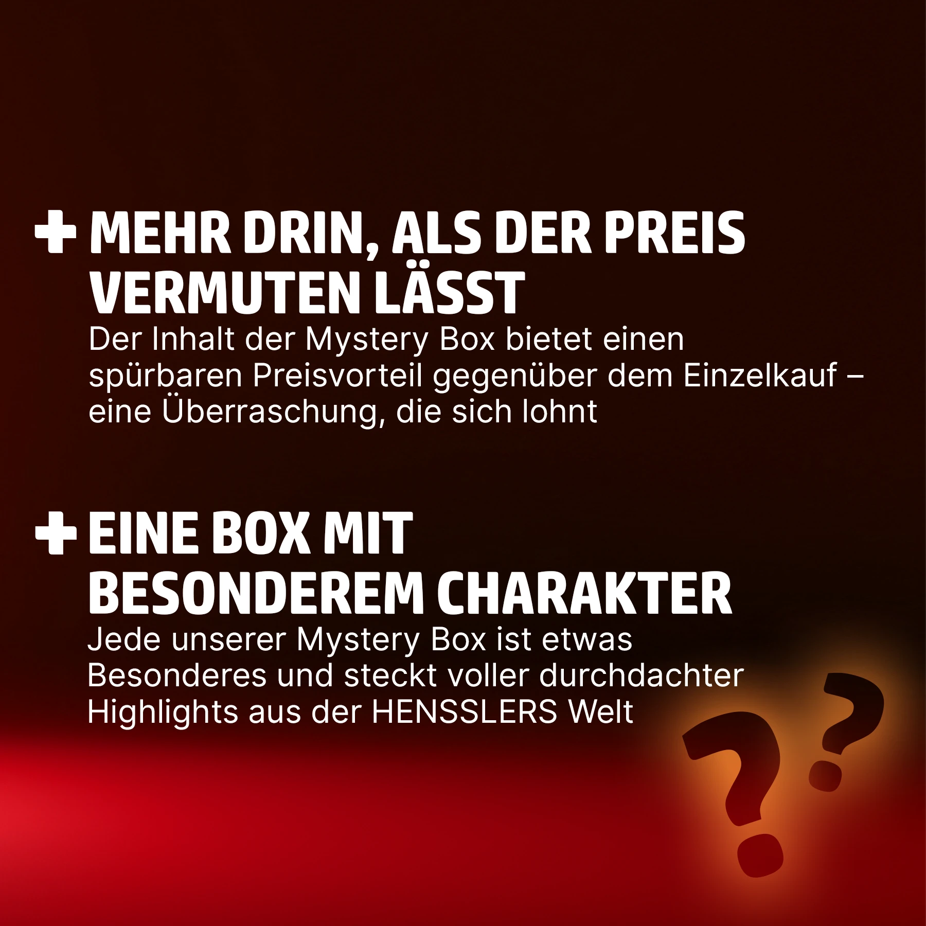 HENSSLERS Mystery Box Bundles HENSSLERS